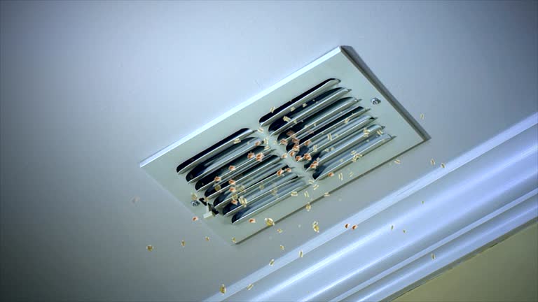 Best Ductwork Cleaning Services  in Ste Genevieve, MO